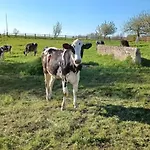Agroturismo Zakatek Lipowy - Turystyka Stulichy