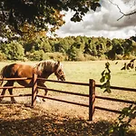 Agroturismo Zakatek Lipowy - Turystyka Stulichy *