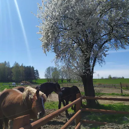 Zakatek Lipowy - Turystyka Stulichy Wegorzewo