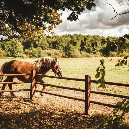 Farm stay Zakatek Lipowy - Turystyka Stulichy *